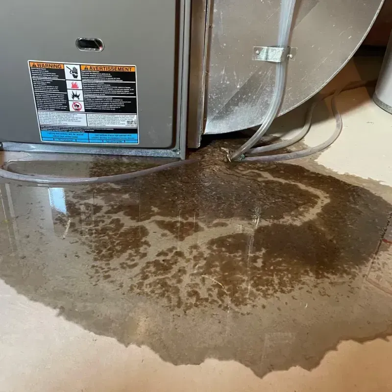 Appliance Leak Cleanup in Lafayette, LA